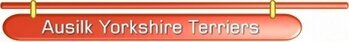 Ausilk Yorkshire Terrier Header
